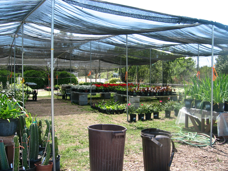 set up for the annual plant sale in Lake County FL - open to the public